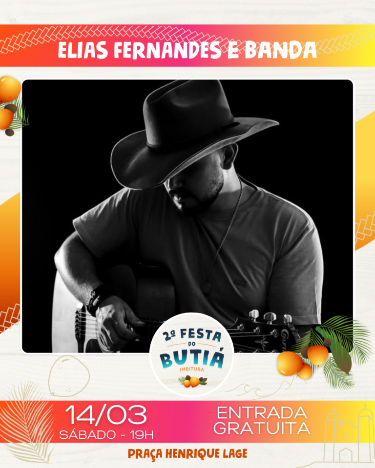 musicos-festa-butia (4)